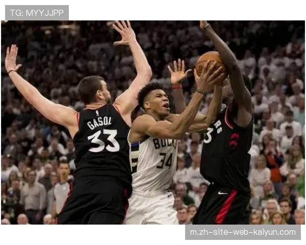 国王重建之路漫长 年轻核心需时间成长影响短期战绩预期 国王重建之路漫长 年轻核心需时间成长影响短期战绩预期